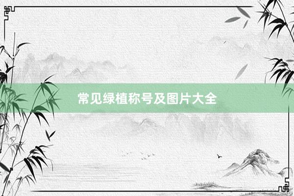 常见绿植称号及图片大全