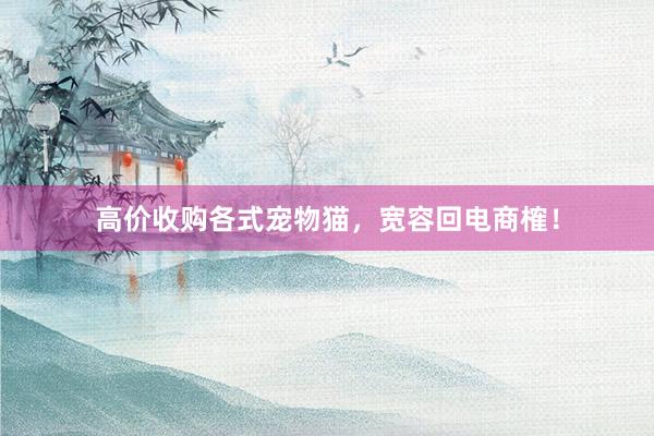 高价收购各式宠物猫，宽容回电商榷！